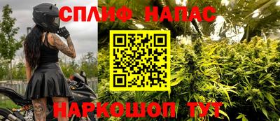 прущие грибы Кунгур