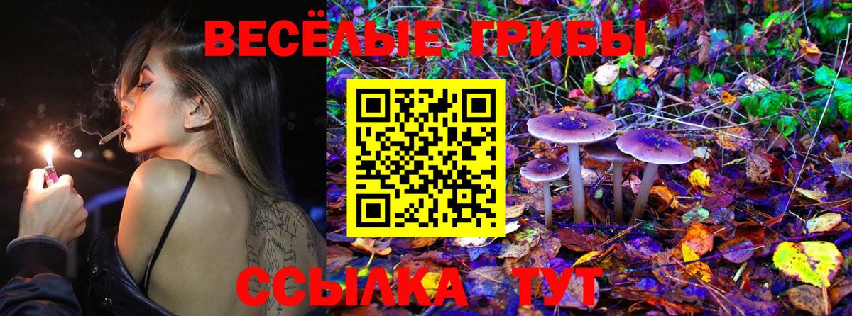 Псилоцибиновые грибы GOLDEN TEACHER Шелехов