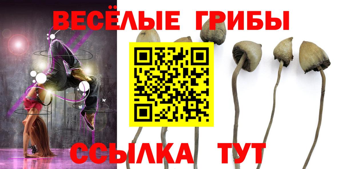 Шелехов  Псилоцибиновые грибы Psilocybine cubensis  Вход с VPN 